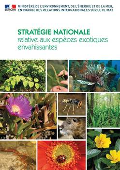 Stratégie nationale EEE