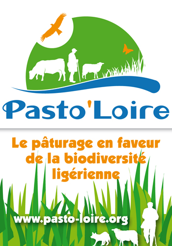 Autocollant Pasto br