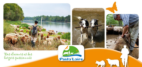 Cartes postales 2013 1 br