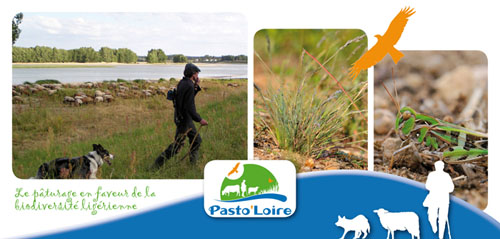 Cartes postales 2013 3 br