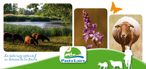 Cartes postales 2013 5 br
